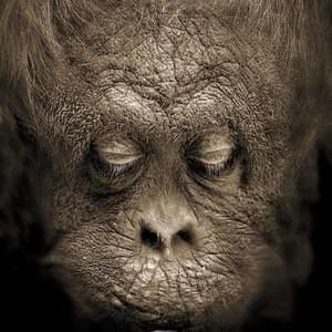 Meet your Posher, Mandy